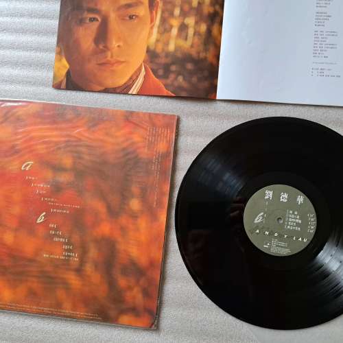 劉德華 再會了 Andy Lau 1990 黑膠唱片LP 經典Vinyl 《秋意中等我》吳婉芳合唱 TVB...