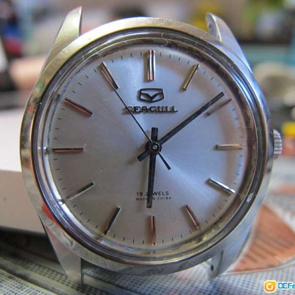 新裝 SEAGULL 海鷗上鍊錶