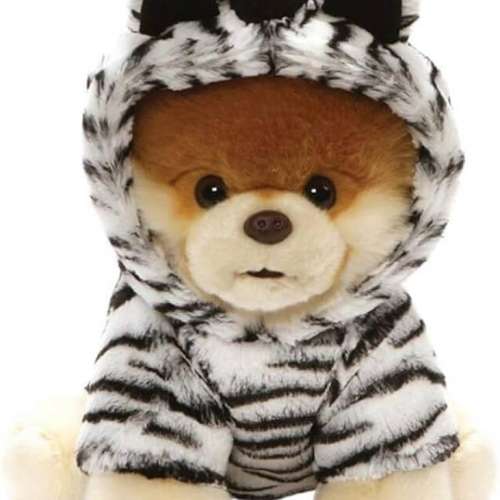 睇下文&middot;文盲勿擾&middot;不轉wtsapp/電話‼️Gund World&rsquo;s Cutest Dog Boo Zebra 變裝斑...