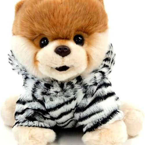 睇下文&middot;文盲勿擾&middot;不轉wtsapp/電話‼️Gund World&rsquo;s Cutest Dog Boo Zebra 變裝斑...