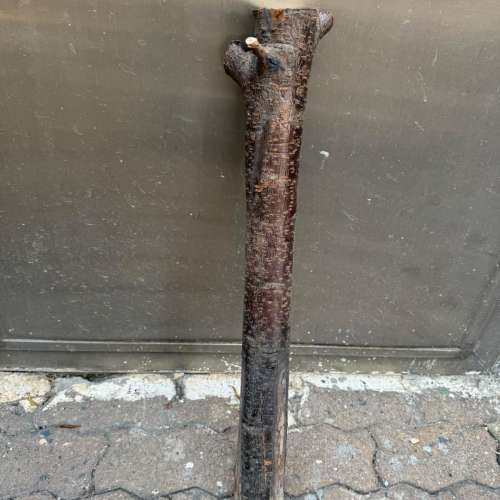 各位師兄，長110 CM x直徑10 CM