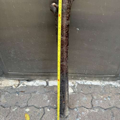 各位師兄，長110 CM x直徑10 CM