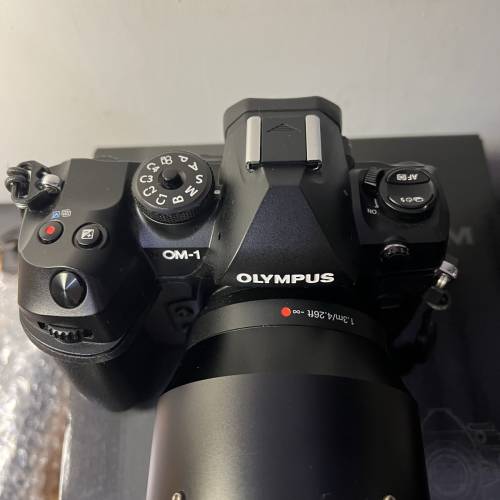 Olympus OM-1 +100-400+1.4x