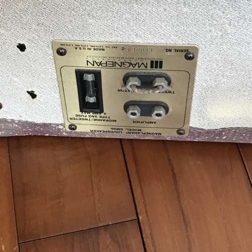 Magnepan SMG-B ribbon speakers