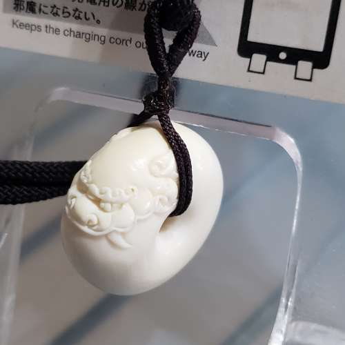 天然化石水泡