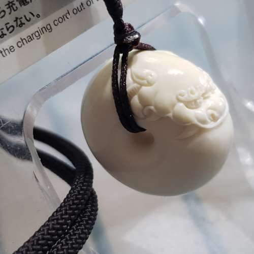 天然化石水泡