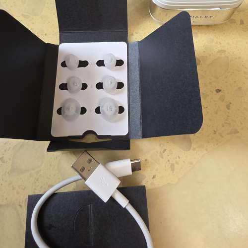 Devialet Gemini II 真無線耳機