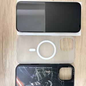 iPhone 16 Pro Max 256GB 原色