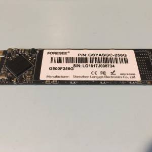 FORESEE M.2 SATA NGFF 256GB SSD 2280 折機Health Status 100% Good 256 256G