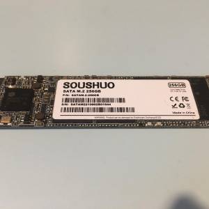 SOUSHUO M.2 SATA NGFF 256GB SSD 2280 折機Health Status 100% Good 256 256G