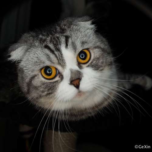 Nikkor 14-24mm 2.8G