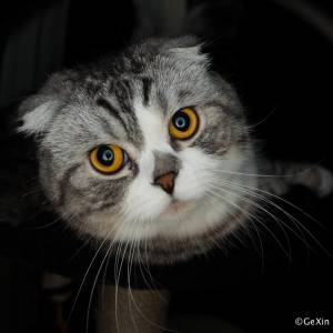 Nikkor 14-24mm 2.8G