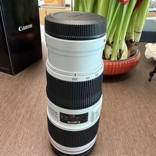 Canon 70-200mm/4L
