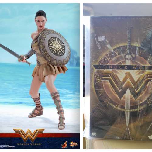 Hot Toys MMS 424 神奇女俠 Wonder Woman 1/6th Scale (Training Armor Version)