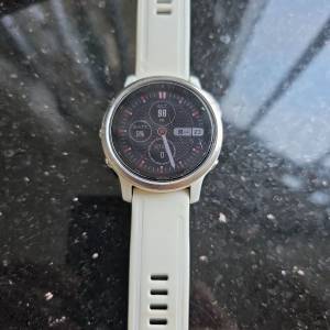 Garmin Fenix 6S