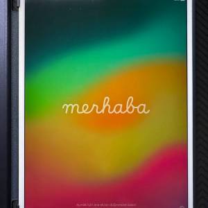 2017 10.5寸 iPad pro 256GB wifi