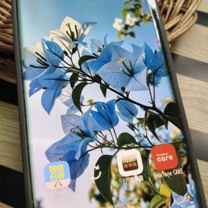 Realme Gt neo 6 SE ( 12+256，性能與8gen3接近）