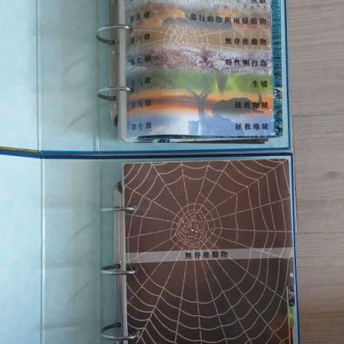 走進野生動物世界～我的萬物生態資料館 (共2本)