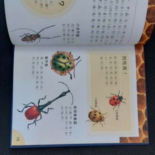 新知識雙語百科28本 (中英對照)