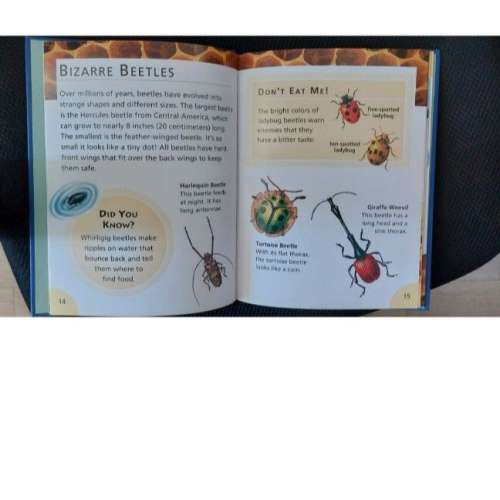 新知識雙語百科28本 (中英對照)