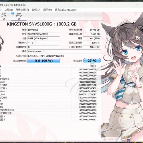 【近全新 99%健康】Kingston 1TB NVMe SSD + UGREEN 20Gbps 硬盤盒 套裝