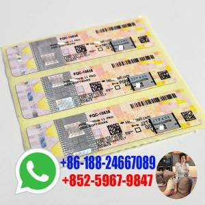 Win 11 Professional Pro OEM License Key Online Activation Digital Key Code