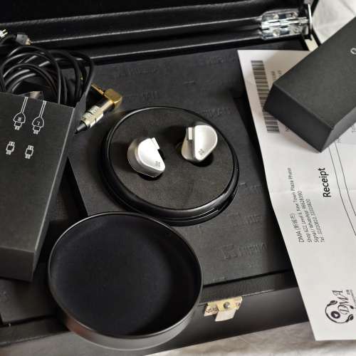 HIFIMAN Svanar 大天鵝 單動圈 耳機