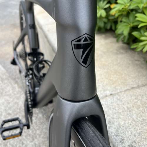 特價款式 2025 TWITTER R5 PRO 二代 24速碟剎桶軸碳纖維公路車 送水架前後蛙燈