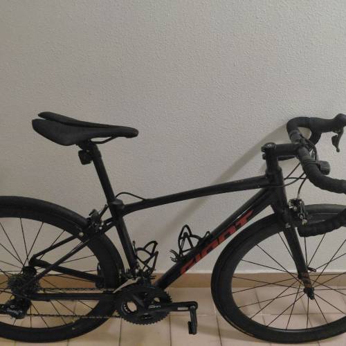 2024 Giant scr1 (xs)