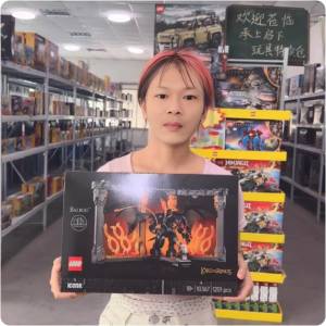二手LEGO樂高
