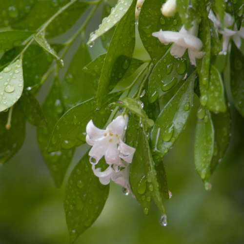 因執屋故售,90%以上新無花MO少塵TAMRON騰龍,175D 200-400mm全程5.6光圈AF自動變焦...