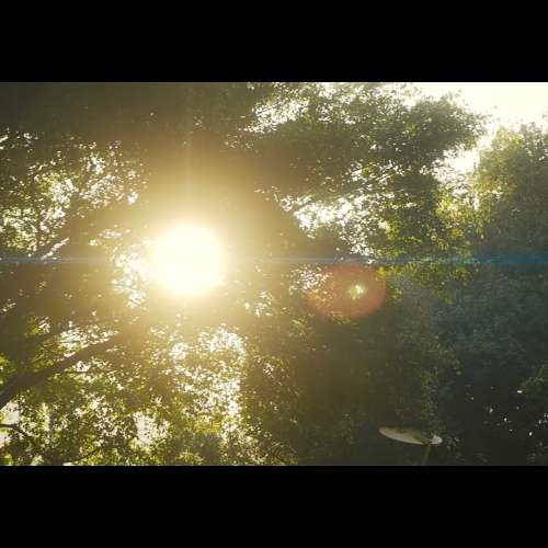 85MM T2.9 1.8X Anamorphic Lens (L mount)