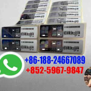Win 11 Professional Pro OEM License Key Print COA Sticker Digital Code