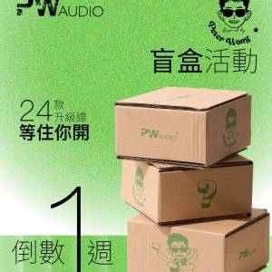 PW Audio 盲盒耳機線