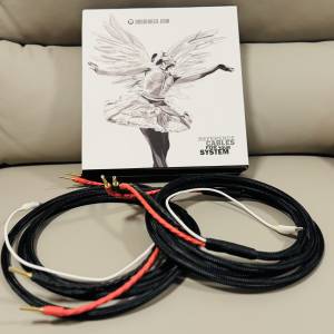 Audiomica Kammer Gold 2.5m喇叭線（蕉插） (98%新淨)