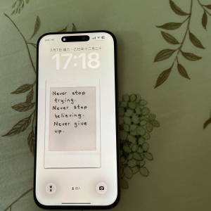 iphone 16 pro max 256gb (睇內文