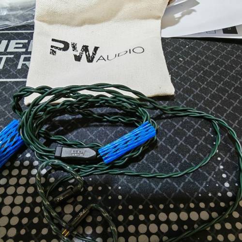 PW audio illicit 4.4 2pin cable
