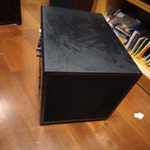 Subwoofer 美國大地震重低音Earthquake Supernova MKIV-10