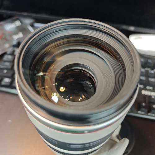 canon 100-400 4.5-5.6L