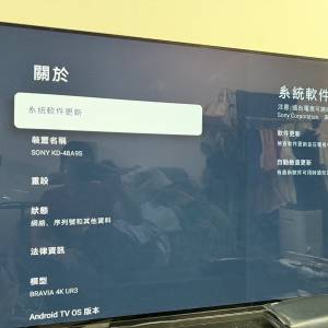 有保養SONY KD-48A9S 48&rdquo; UHD OLED TV 香港行貨