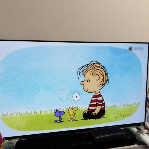 有保養SONY KD-48A9S 48&rdquo; UHD OLED TV 香港行貨