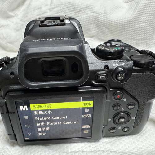 Nikon P1000