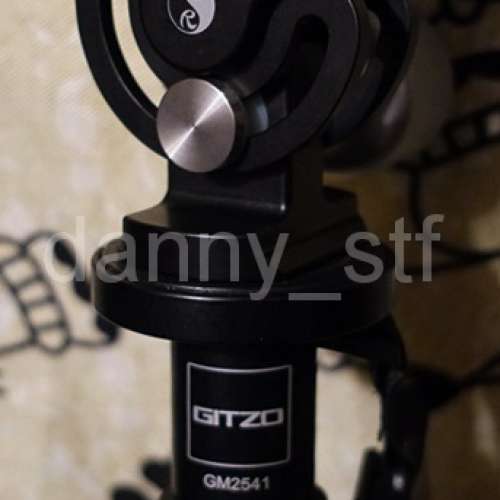 Gitzo GM2541 Monopod 6X Carbon 碳纖單腳架 Series 2 連 Really Right Stuff MH-01...