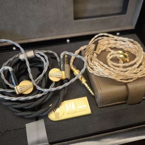 Fiio FDX full set 純鈹單元 （Fiio都無再出）