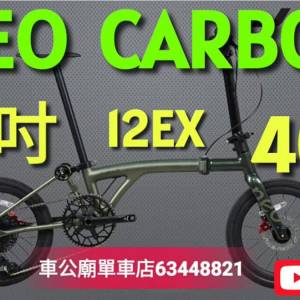 2026 Java NEO 20吋 full carbon （406） 12s橄榄绿