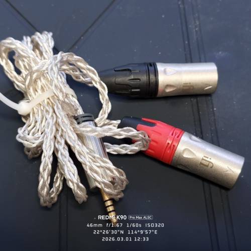 iFi Audio 的4.4mm 轉雙XLR 平衡線
