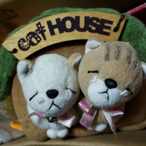 Cat&h