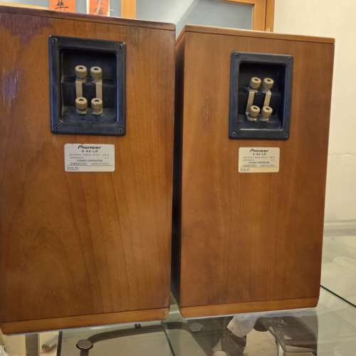 Pioneer S-A4-LR 喇叭