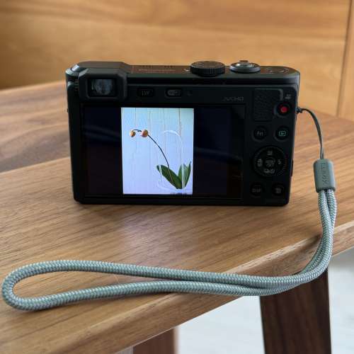 Panasonic Lumix DMC-LF1 黑色