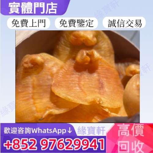 緣寶軒高價收購花膠，房膠，厚肚膠，赤嘴膠，紅雞赤嘴，花膠，魚膠，魚肚，靚花膠，...